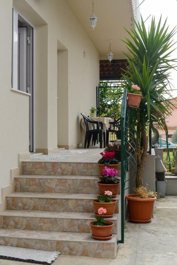 טרוגיר Apartment Sara מראה חיצוני תמונה